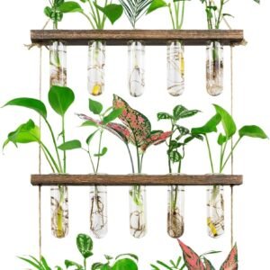 propogation station