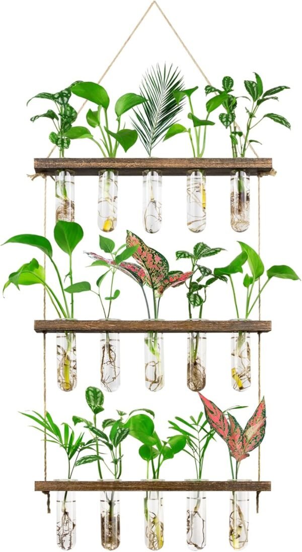 propogation station